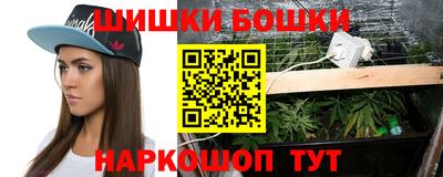 a pvp Лесосибирск