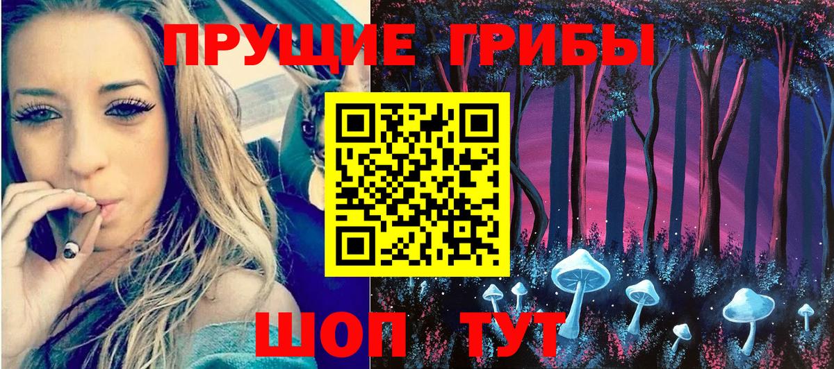 Галлюциногенные грибы Cubensis Горячий Ключ
