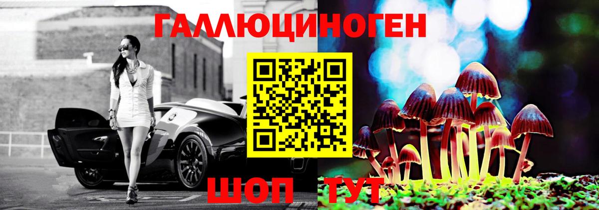 Псилоцибиновые грибы Cubensis  Вход с VPN  Горячий Ключ  Псилоцибиновые грибы мицелий 